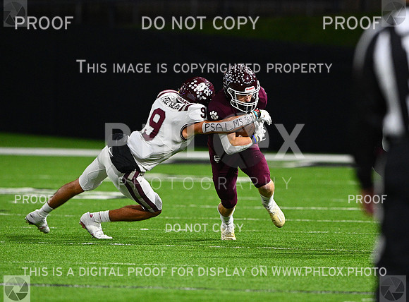 DLS_8526