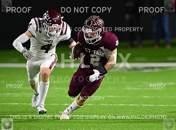 DLS_8514