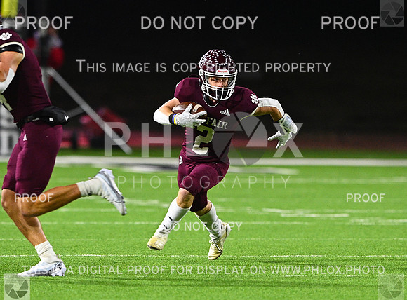 DLS_7283-2