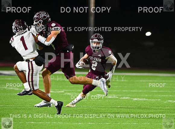 DLS_7282-2