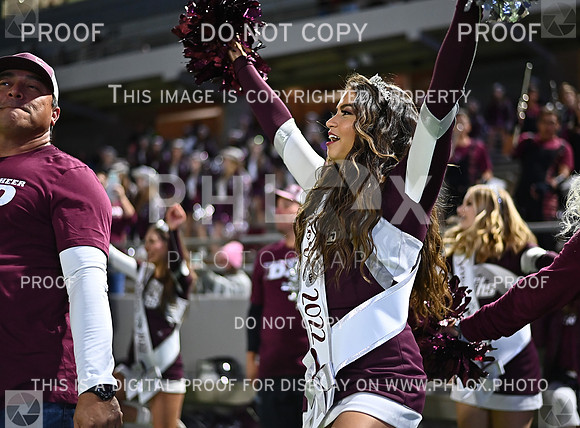 DLS_6596