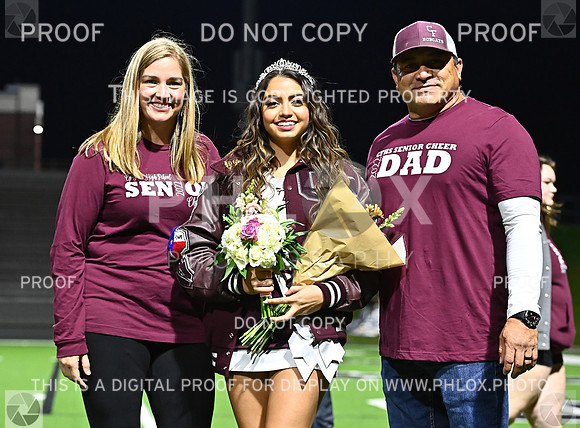 DLS_7169