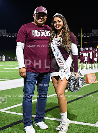DLS_7038