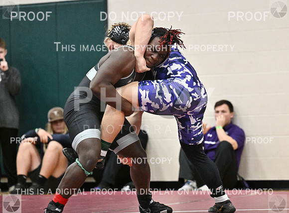 DLS_8084