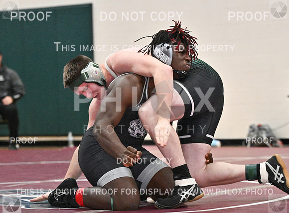 DLS_8808