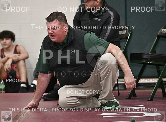 DLS_8250