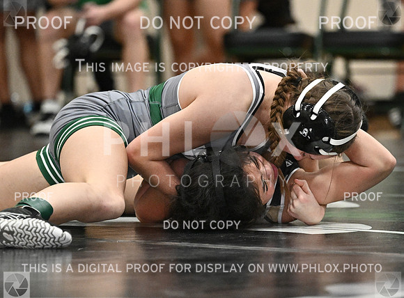 DLS_8146