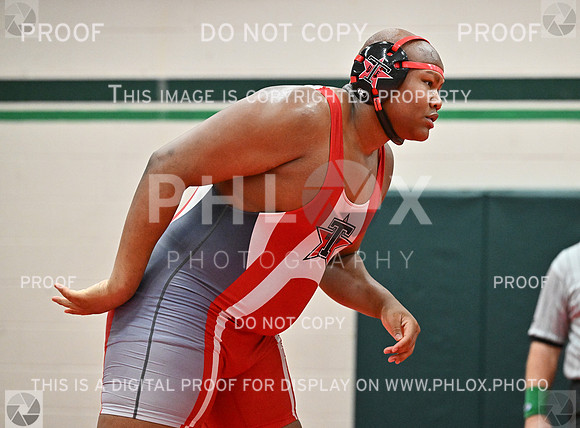 DLS_8058