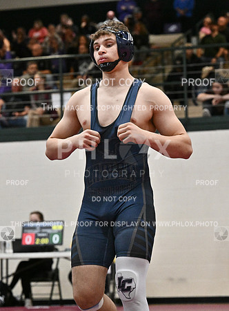 DLS_8005