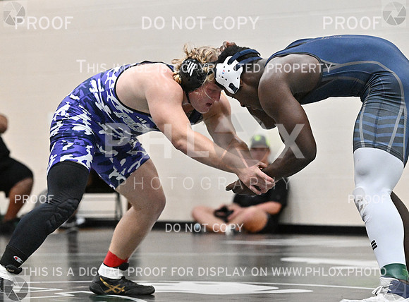 DLS_8919