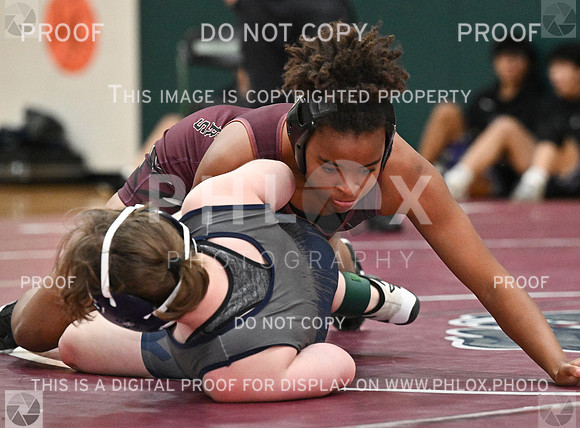 DLS_8381