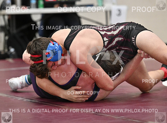 DLS_8486