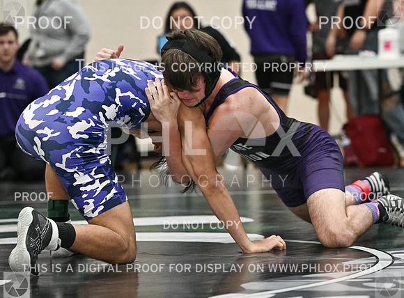DLS_8577