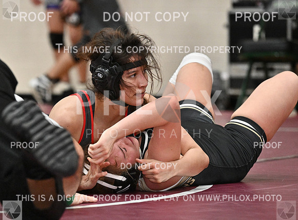 DLS_8297