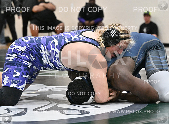 DLS_8893