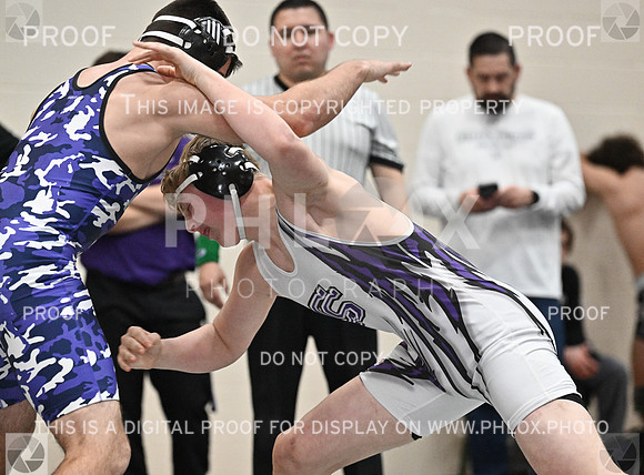 DLS_8816