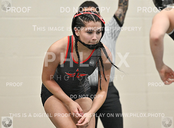 DLS_8197
