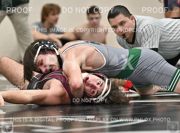 DLS_8752