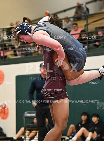 DLS_8379