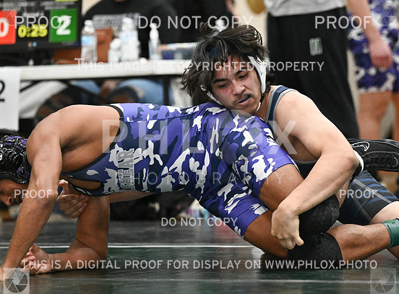 DLS_8483