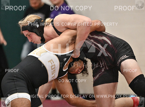 DLS_8710