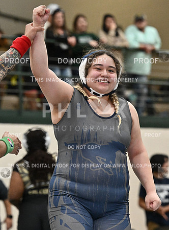DLS_8416