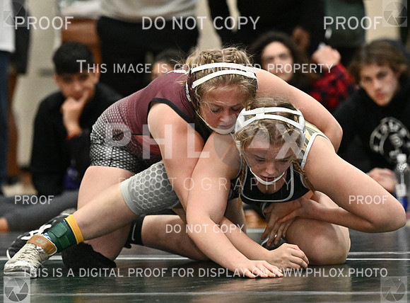 DLS_8369