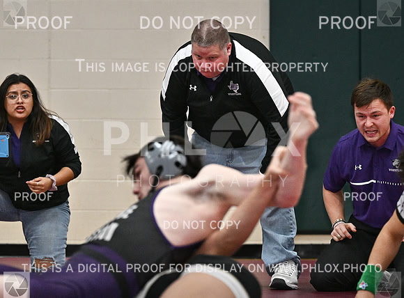 DLS_8637