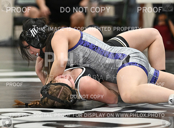 DLS_8271