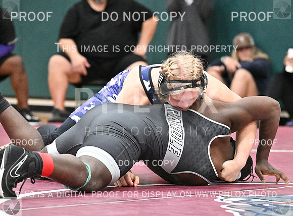 DLS_8091