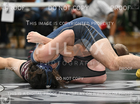 DLS_8707