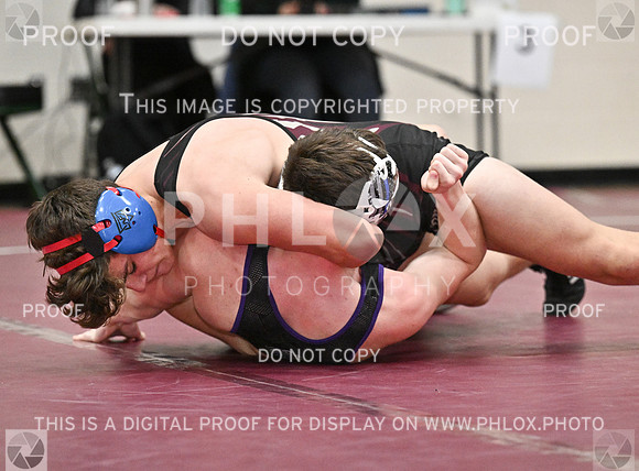 DLS_8484