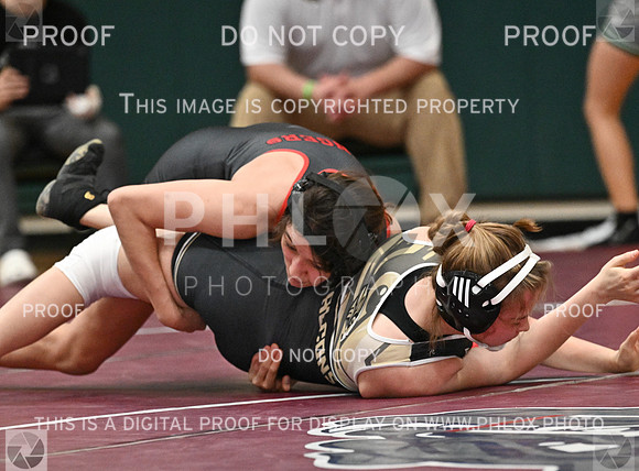 DLS_8272