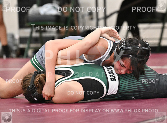 DLS_8101
