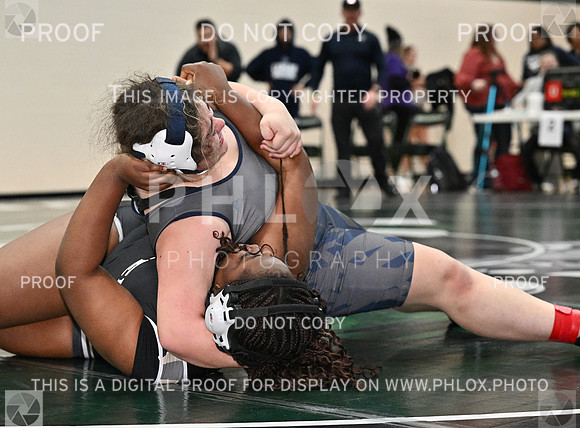 DLS_8415