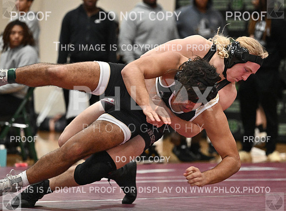 DLS_8720