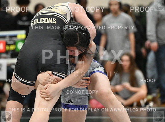 DLS_8268