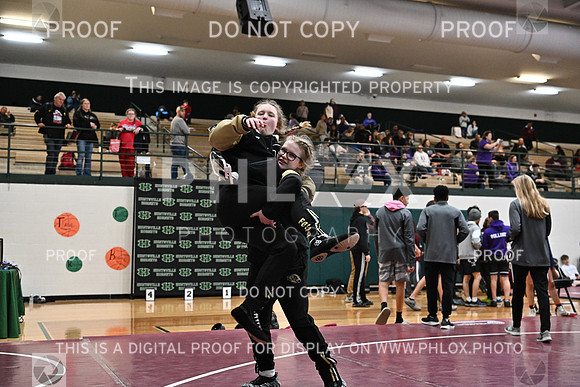 DLS_8981
