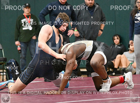 DLS_8023