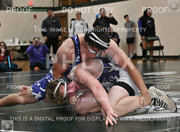 DLS_8845