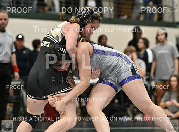DLS_8269