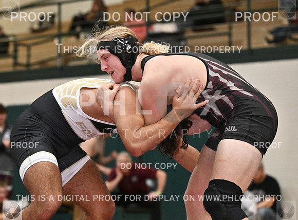 DLS_8726