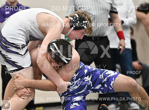 DLS_8819