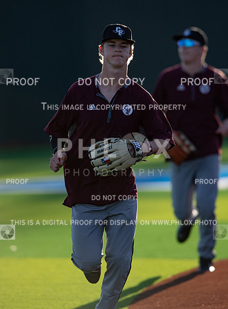DLS_0105