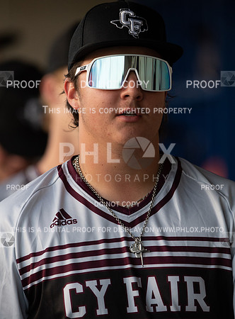 DLS_0169