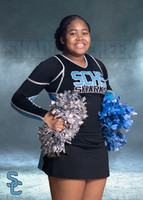 SCHS Cheer Prepaid Downloads