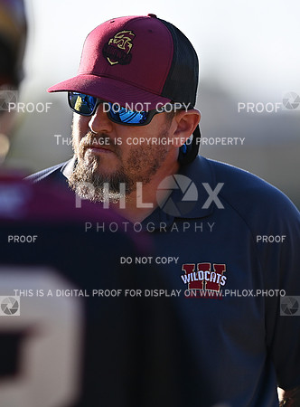 DLS_0395
