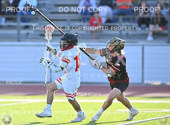DLS_0540