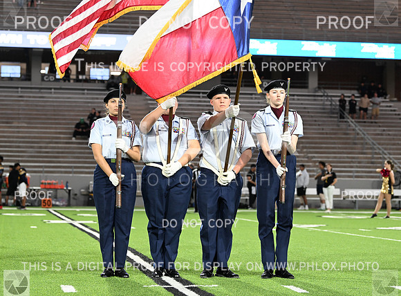 DLS_0699