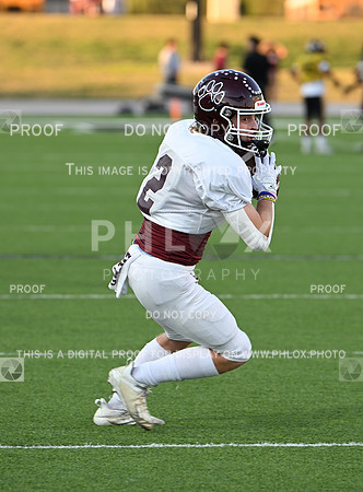 DLS_0337